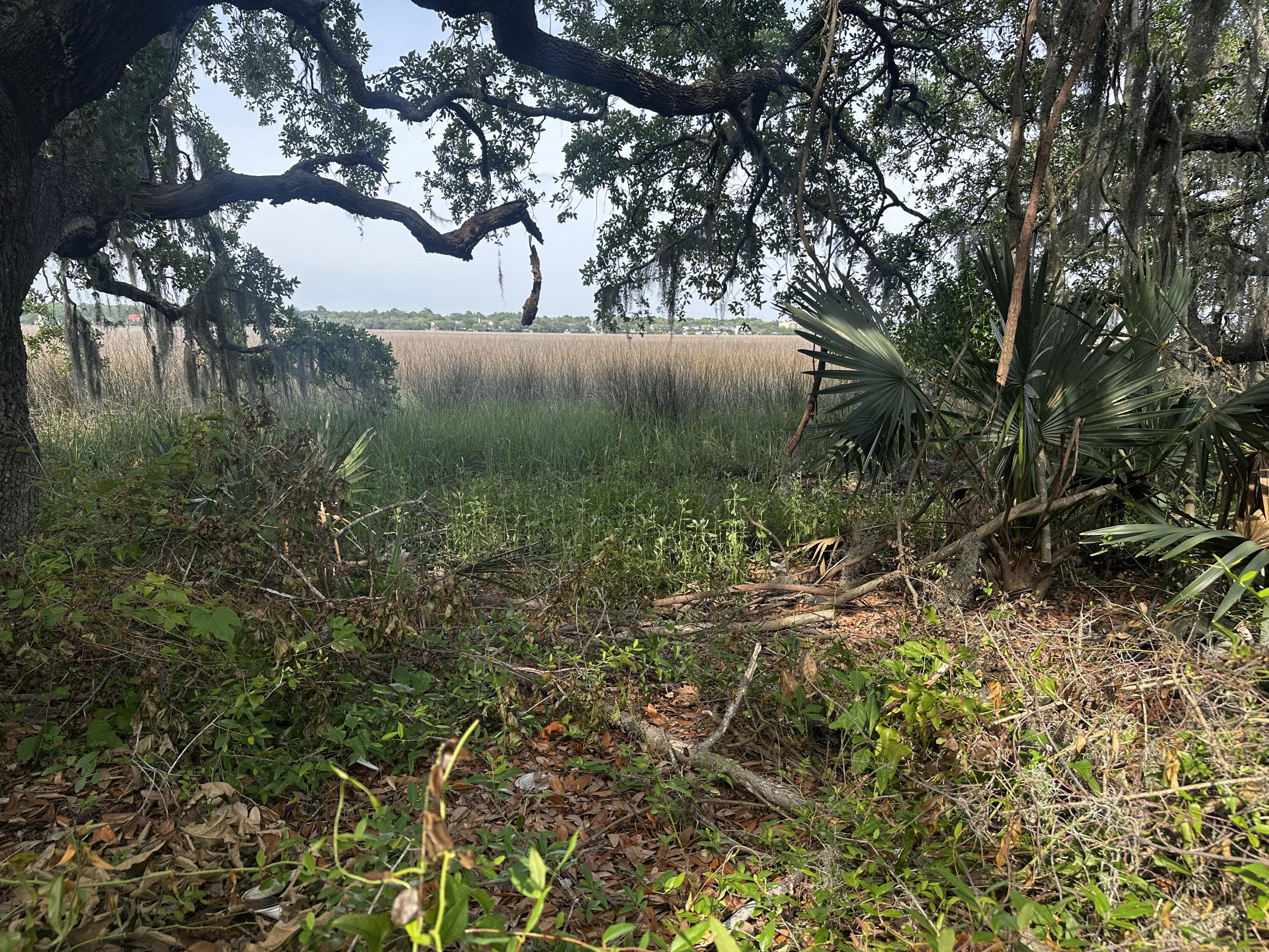 2342 Parsonage Road Charleston, SC 29414 - Photo 2 of 6 IMG_5235