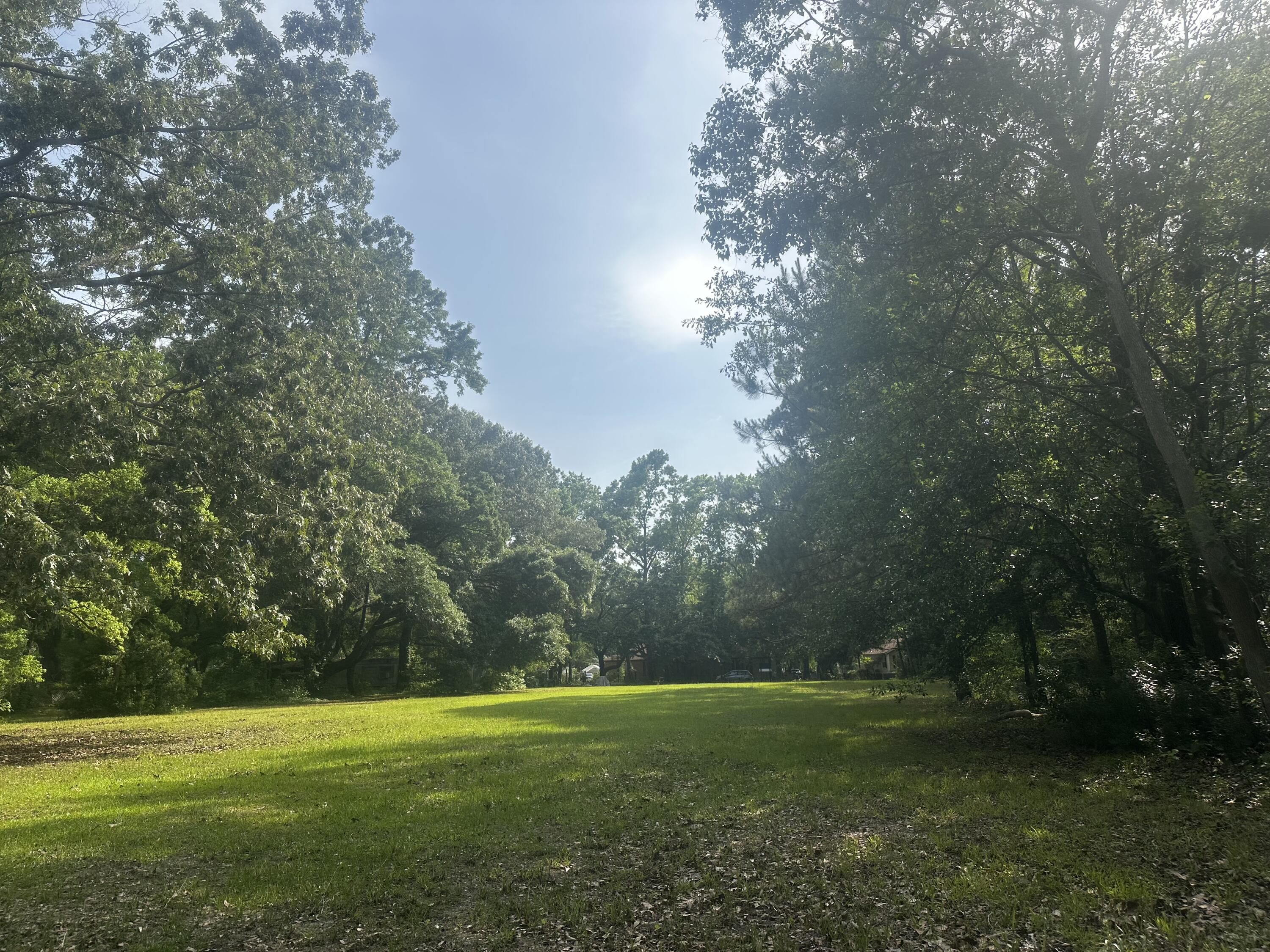 2342 Parsonage Road Charleston, SC 29414 - Photo 3 of 6 IMG_5239