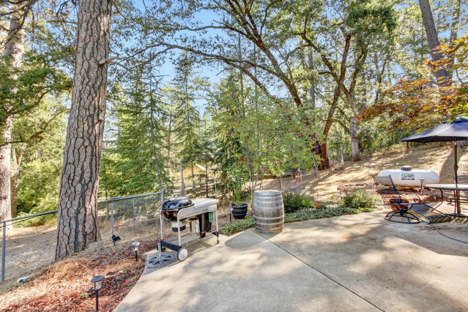 1120 Grange Road Meadow Vista, CA 95722 - Photo 36 of 48