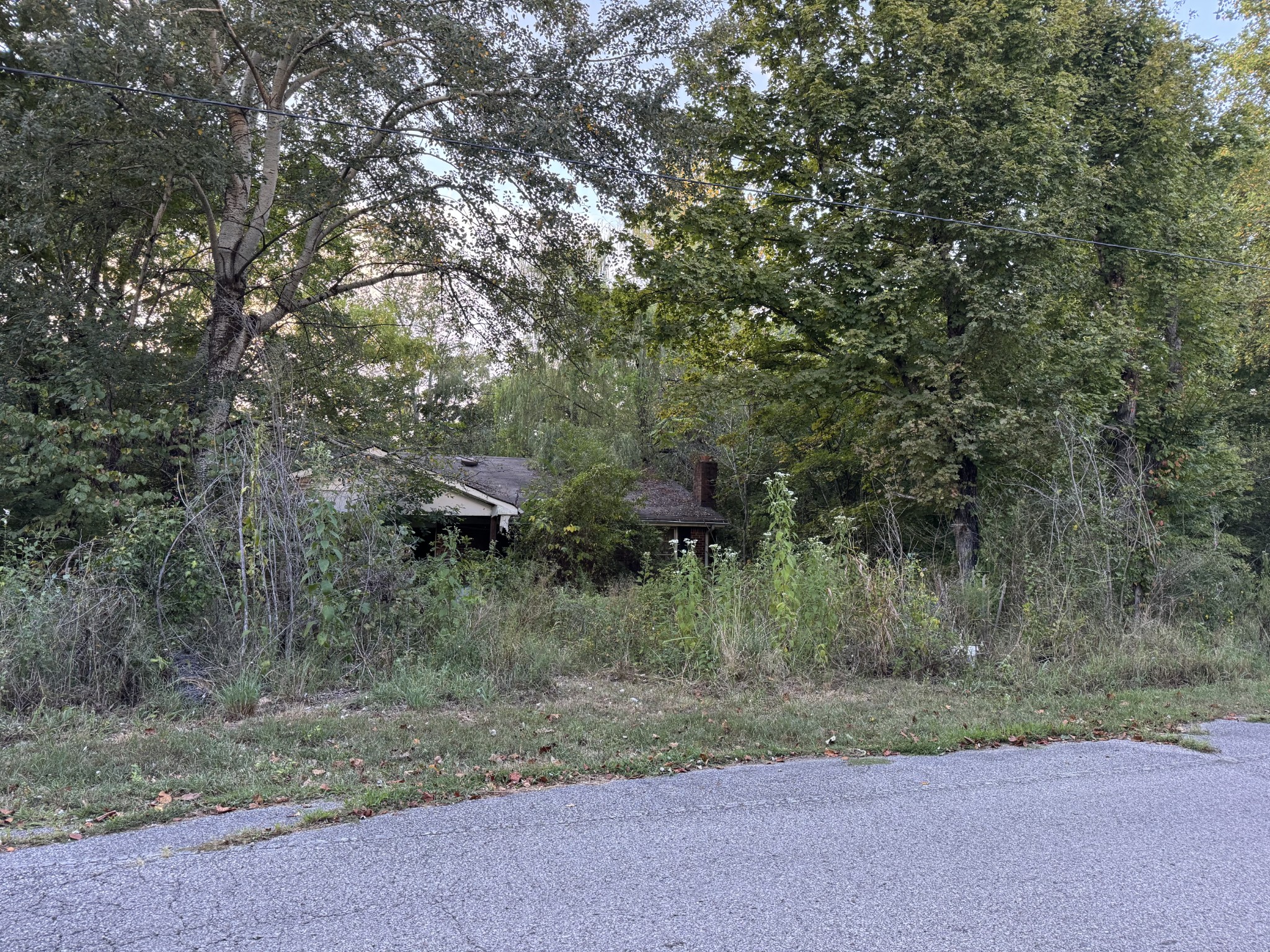 1339 Mt Herman Road Southside, TN 37171 - Photo 2 of 2 a view of a yard
