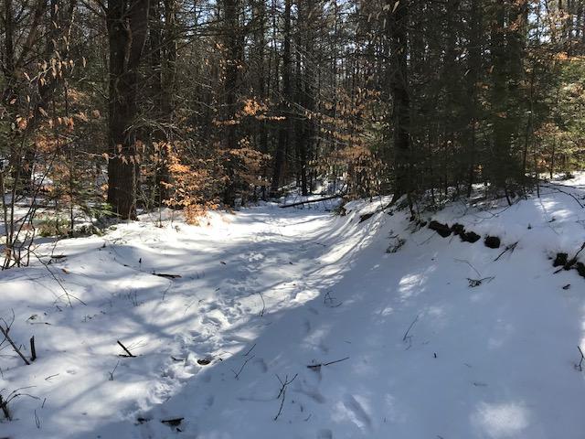 0 Saddleback Road East Baldwin, ME 04024 - Photo 14 of 23 IMG_4647