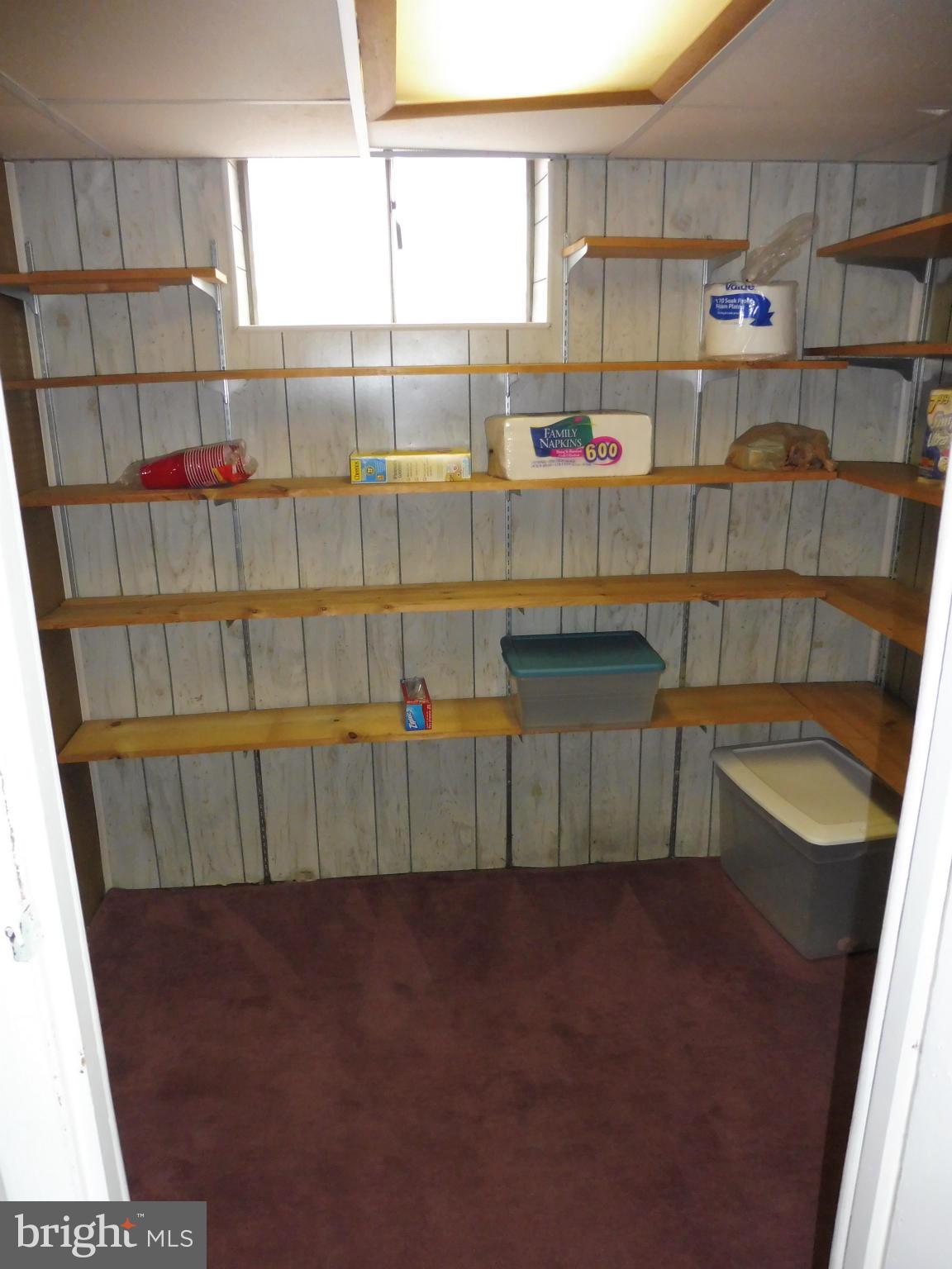 10310 Greentop Road Cockeysville, MD 21030 - Photo 26 of 30 Lower Level Shelved Storage Room
