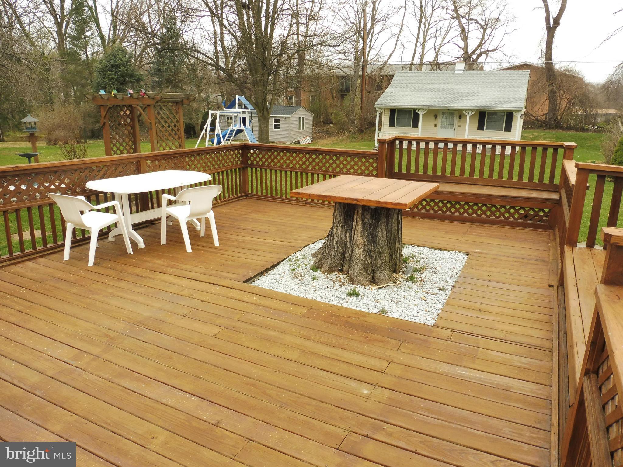 Deck with Tree Stump Table
