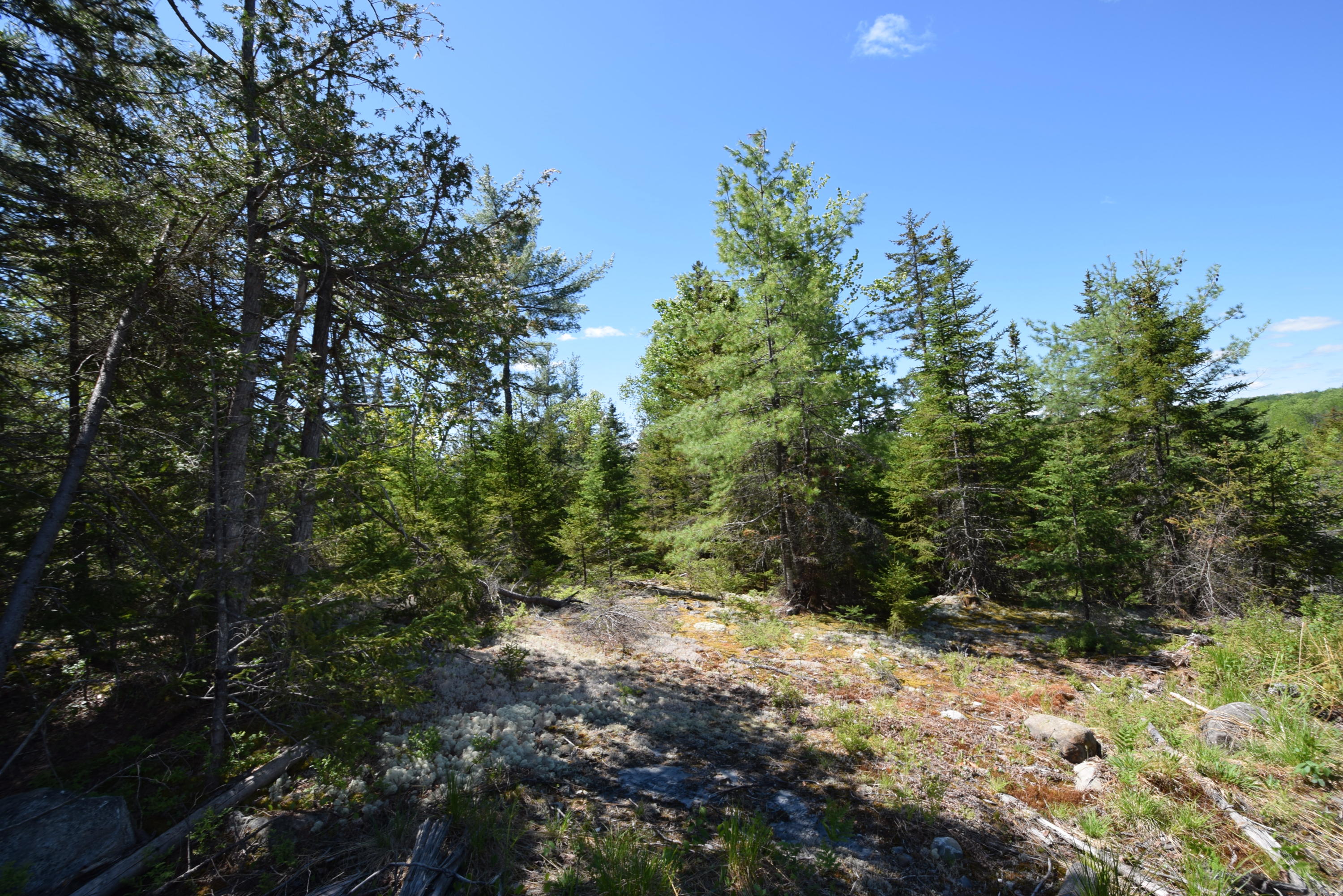 Lot 18 Tenney Hill Road Monson, ME 04464 - Photo 31 of 41 2020-06-01 22.53.59