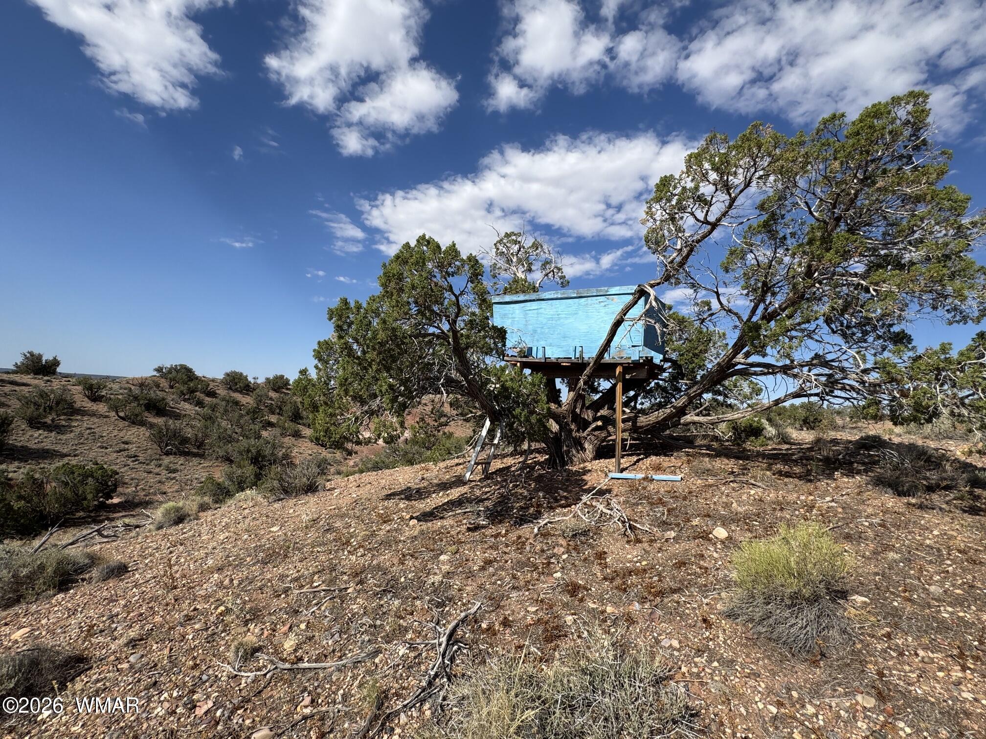 9463 Uttecht Trail Snowflake, AZ 85937 - Photo 48 of 50