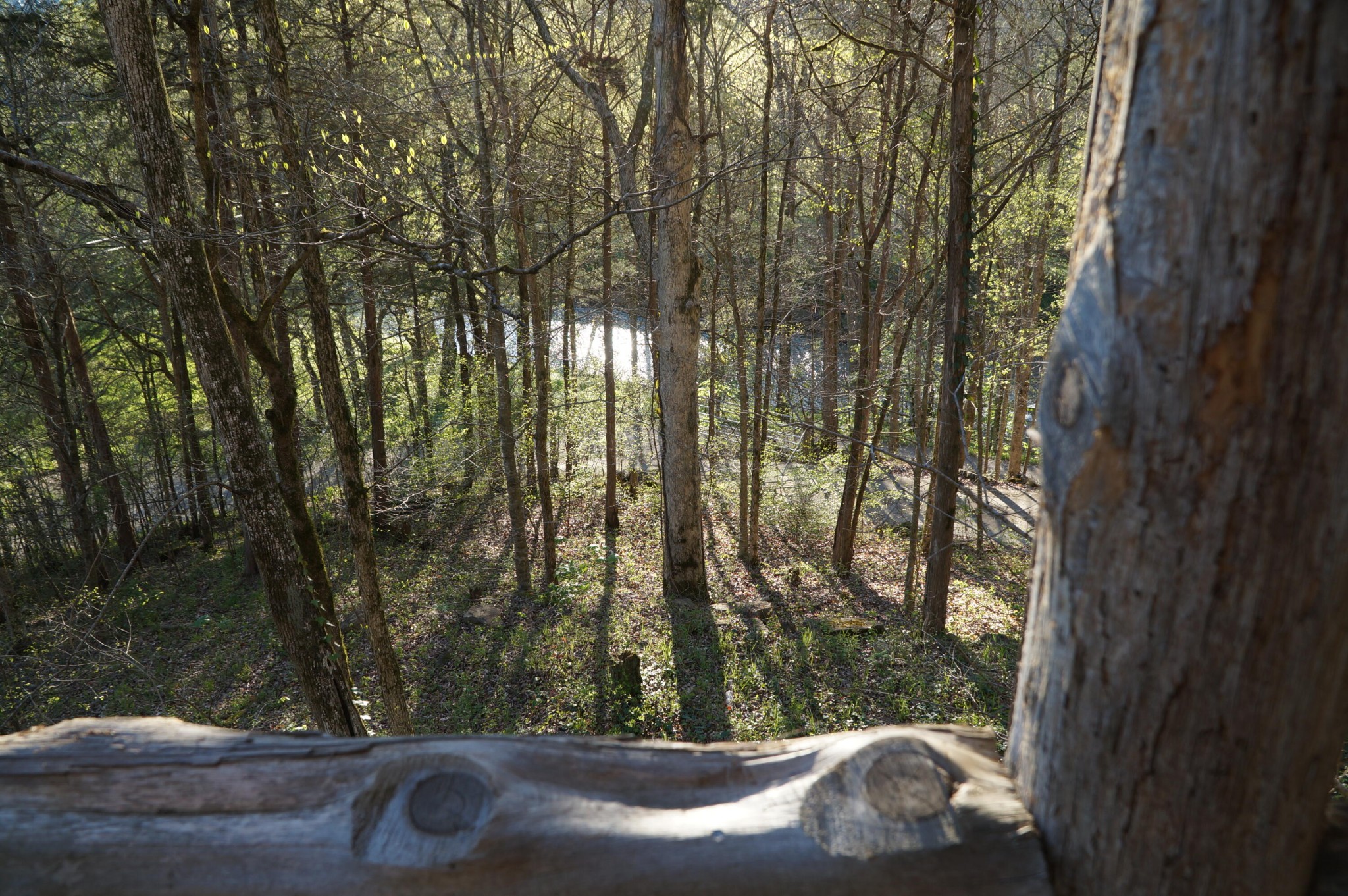 1702 Poplar Springs Road Cookeville, TN 38501 - Photo 14 of 36 Gallery Image 14