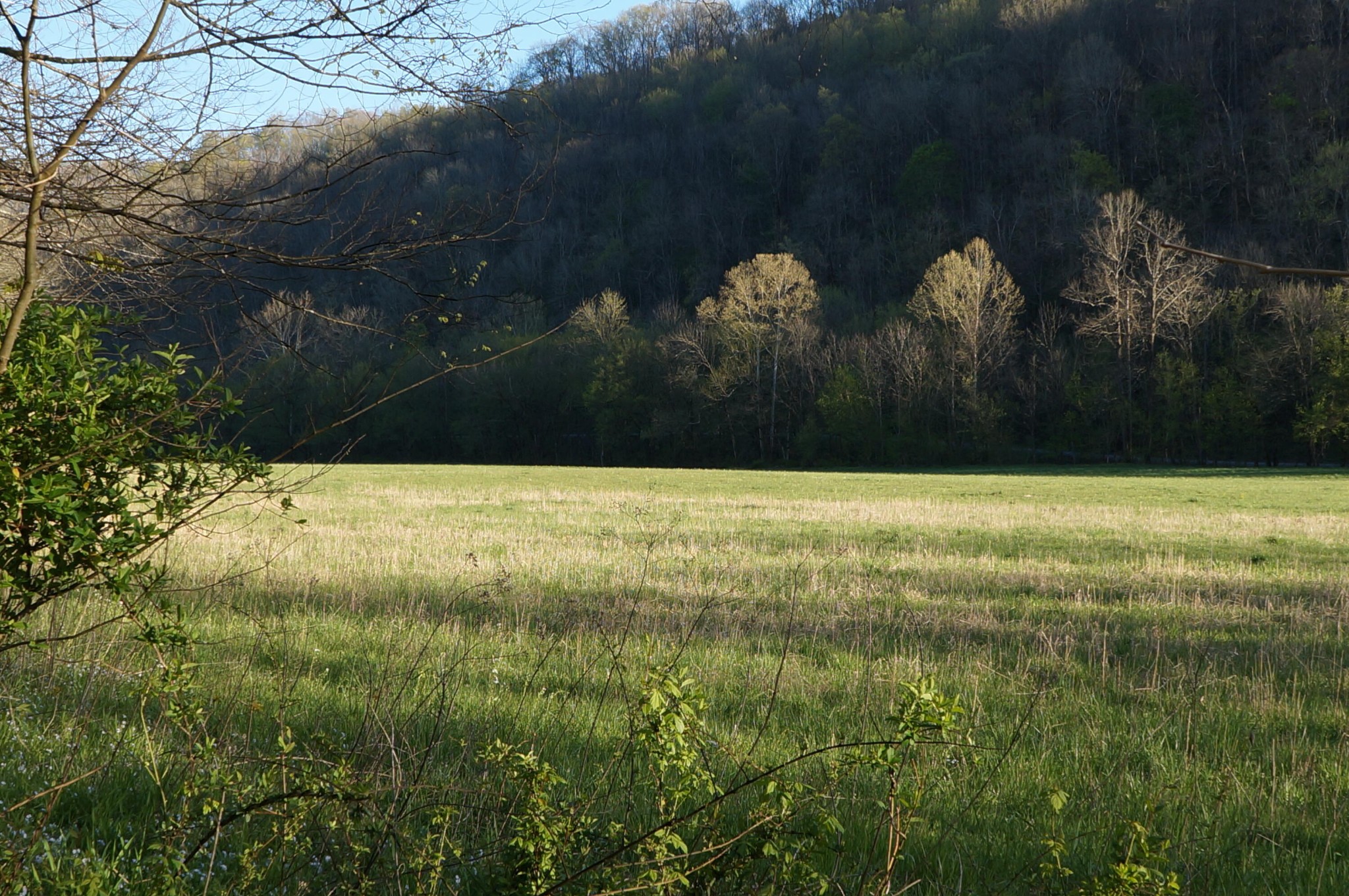 1702 Poplar Springs Road Cookeville, TN 38501 - Photo 34 of 36 Gallery Image 34