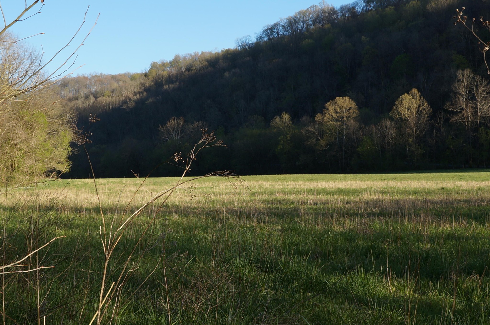 1702 Poplar Springs Road Cookeville, TN 38501 - Photo 35 of 36 Gallery Image 35