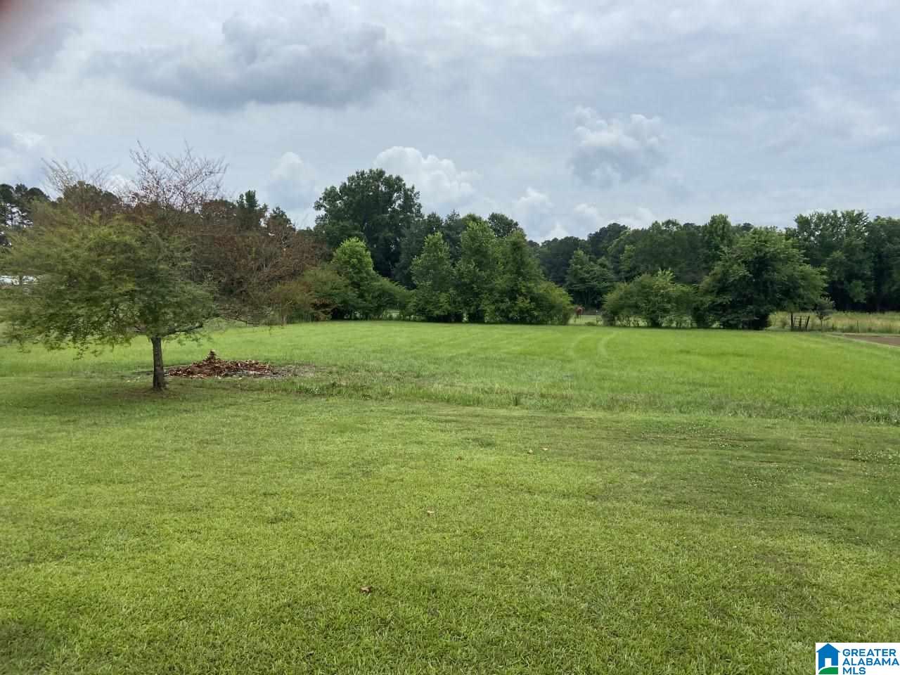 4301 Highway 62 Vincent, AL 35178 - Photo 22 of 26