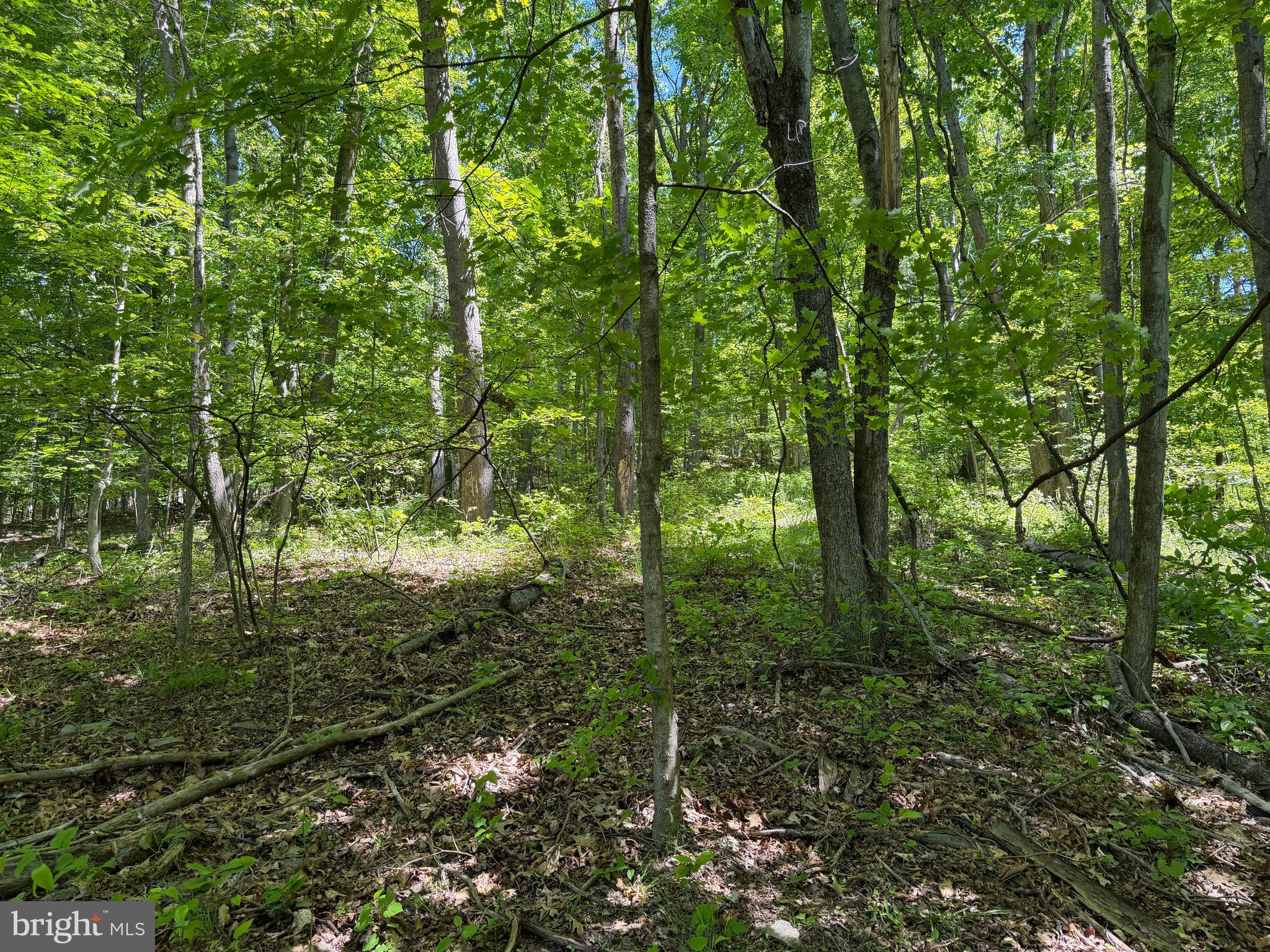 944 Decker Hollow Road Tyrone, PA 16686 - Photo 27 of 82
