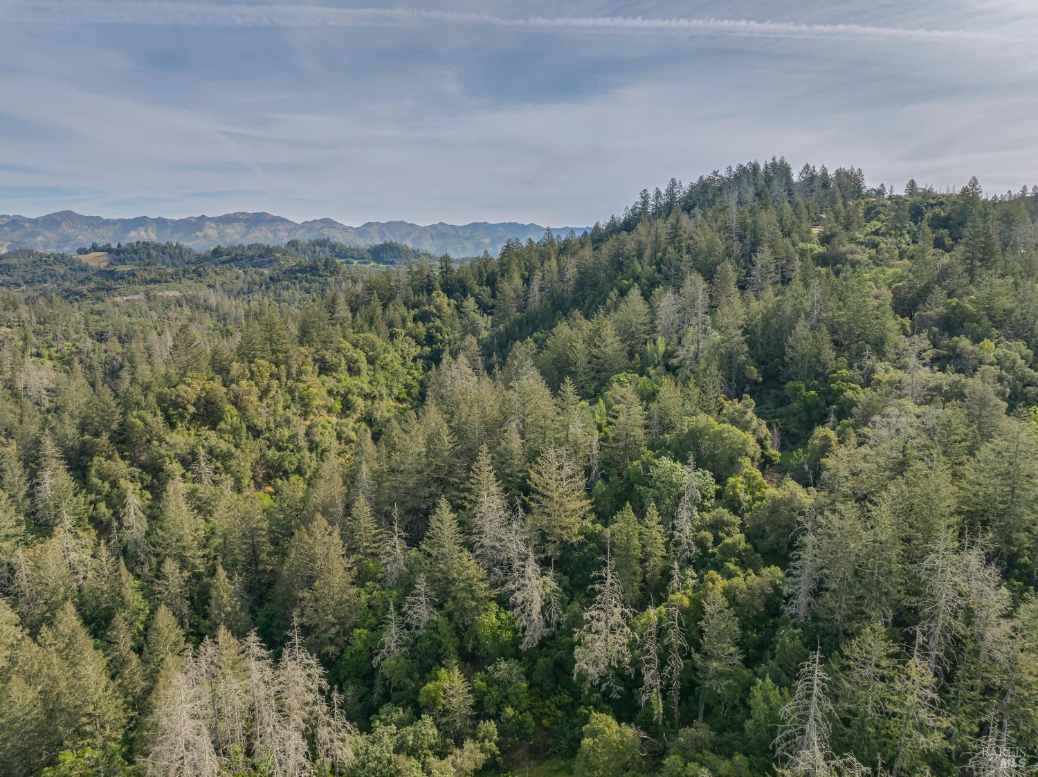 3700 Calistoga Road Santa Rosa, CA 95404 - Photo 85 of 97