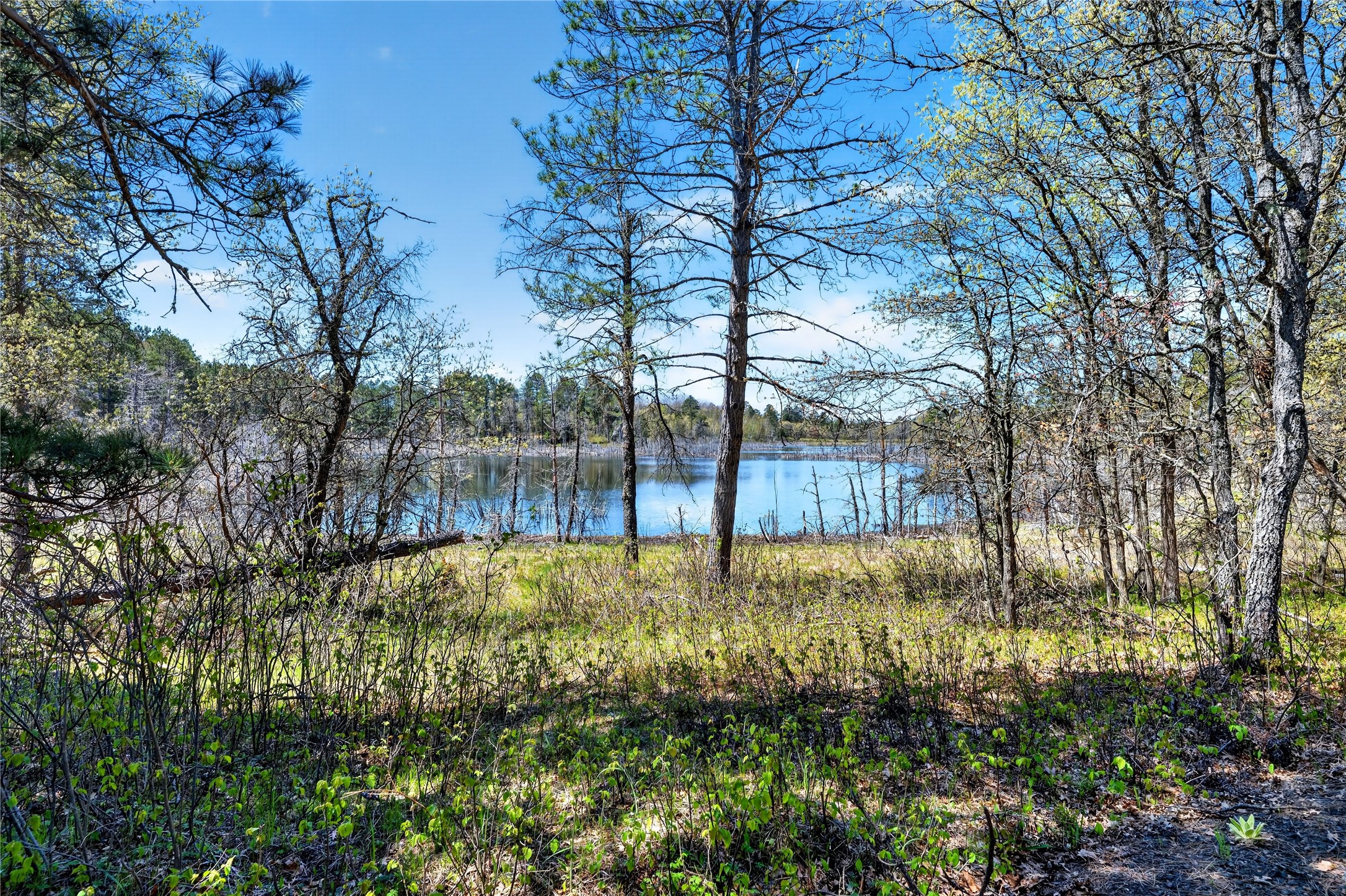 55065 Silverwolf Drive Barnes, WI 54873 - Photo 19 of 23