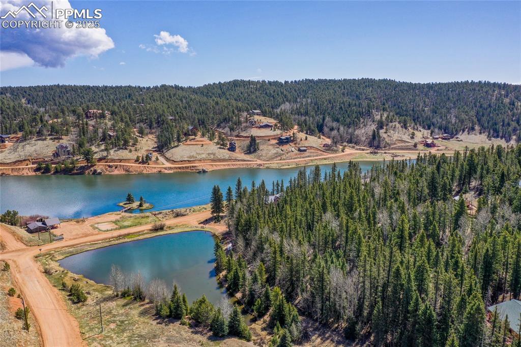 1427 Spring Valley Drive Divide, CO 80814 - Photo 11 of 50 a view of a lake with a mountain