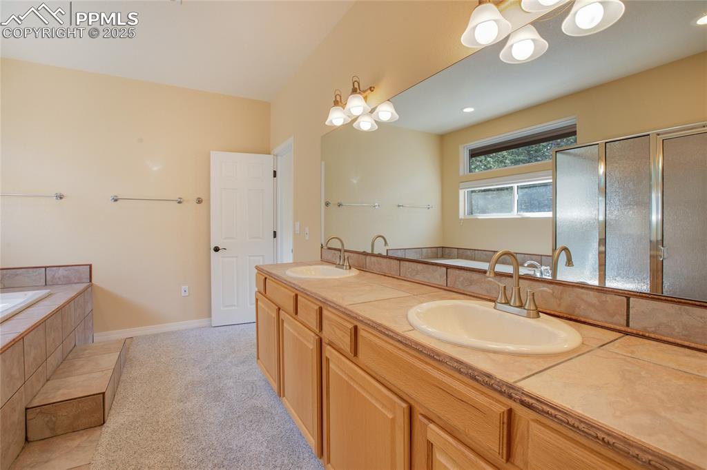 1427 Spring Valley Drive Divide, CO 80814 - Photo 41 of 50 a bathroom with a sink a large mirror and a shower