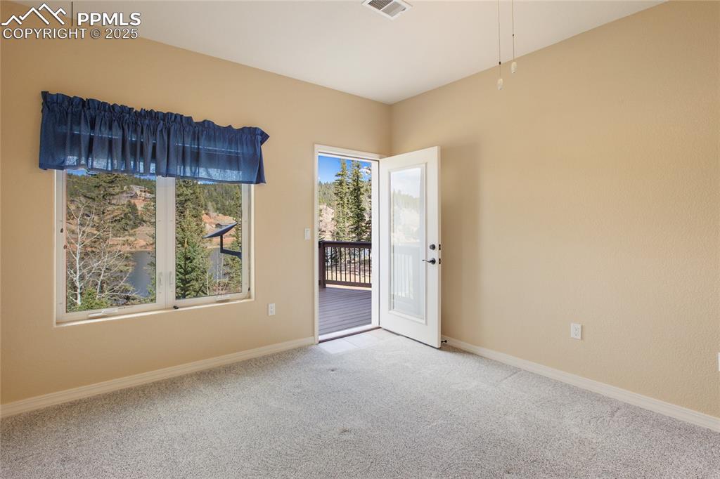 1427 Spring Valley Drive Divide, CO 80814 - Photo 46 of 50 an empty room with windows and closet