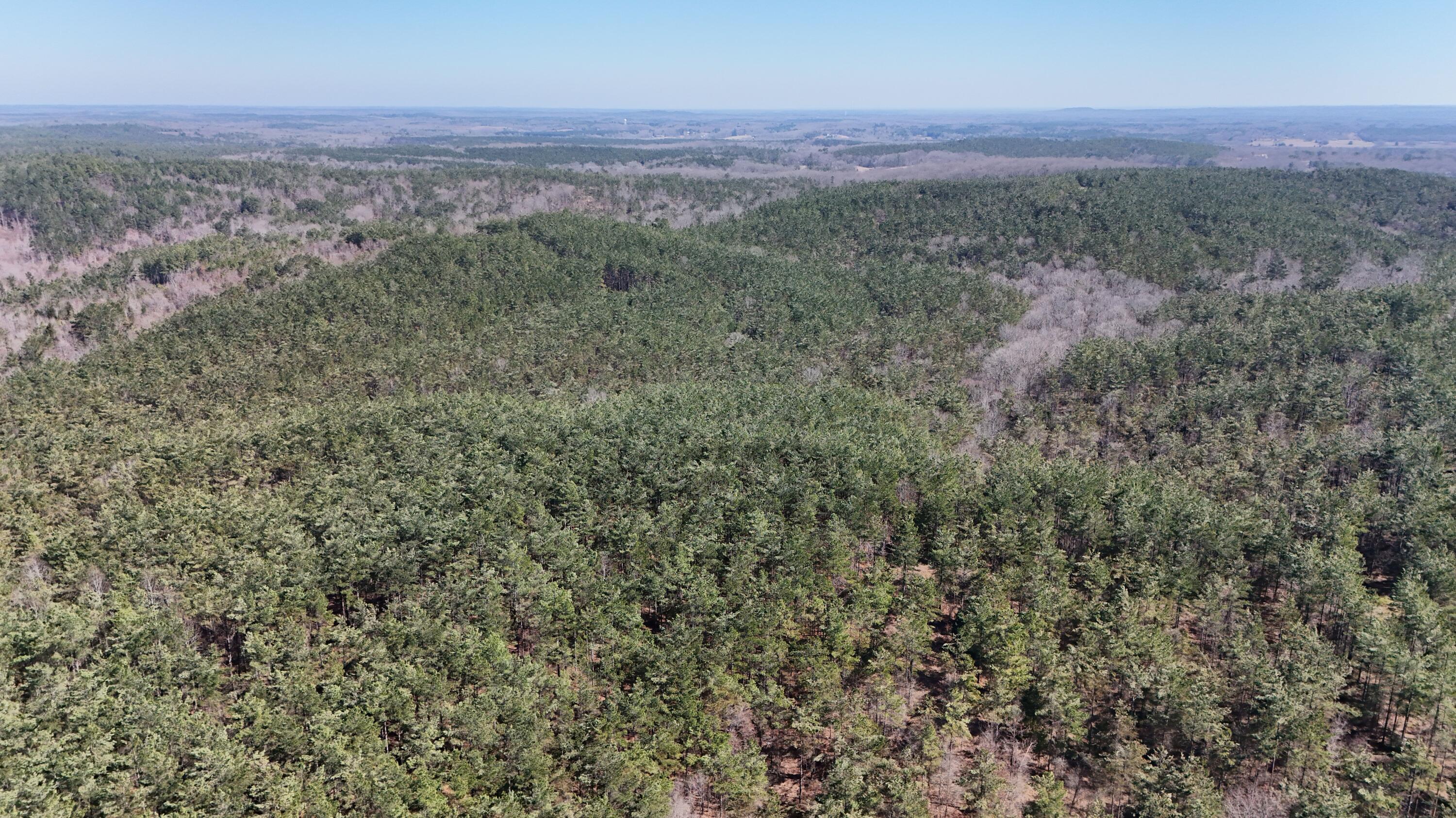 32 Rd Bruce Ms 38915 Gore Springs, MS 38929 - Photo 29 of 33 Gallery Image 29