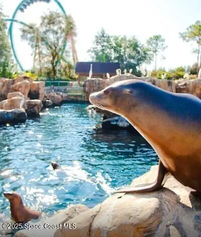 $251,000 | 7030 N Highway, Unit DD101, Cocoa, FL 32927