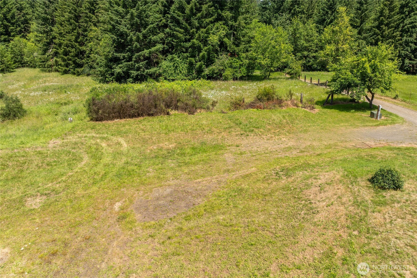 521 Bodine Road Kelso, WA 98626 - Photo 35 of 36