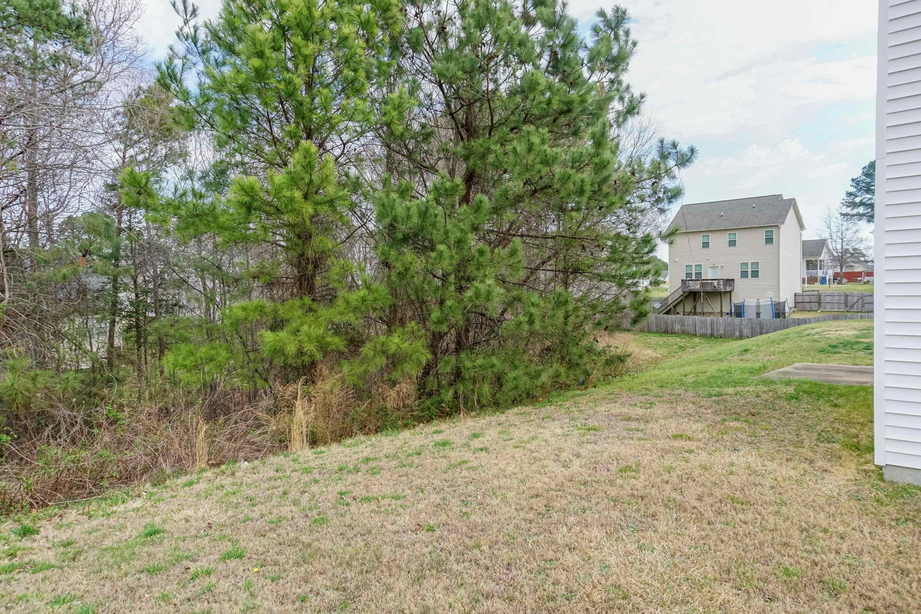 7009 Missionary Ridge Drive Raleigh, NC 27610 - Photo 36 of 40 Photo 36