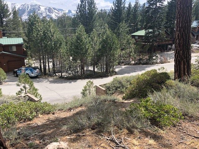 153 Holiday Way Mammoth Lakes, CA 93546 - Photo 11 of 15 a view of road with trees