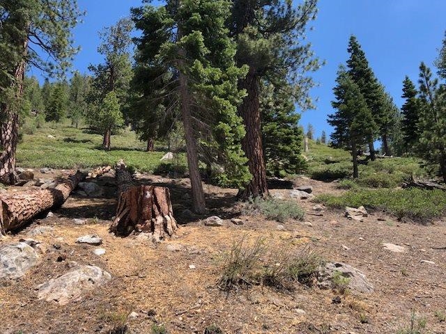 153 Holiday Way Mammoth Lakes, CA 93546 - Photo 3 of 15 a view of a park with large trees