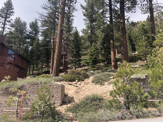 153 Holiday Way Mammoth Lakes, CA 93546 - Photo 4 of 15 a view of a covered with trees