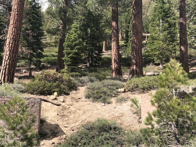 153 Holiday Way Mammoth Lakes, CA 93546 - Photo 5 of 15 a view of a covered with trees