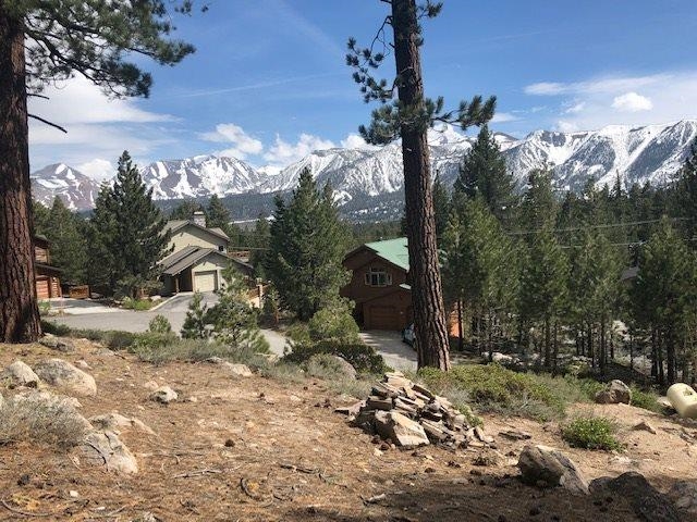 153 Holiday Way Mammoth Lakes, CA 93546 - Photo 9 of 15 a view of a backyard of the house