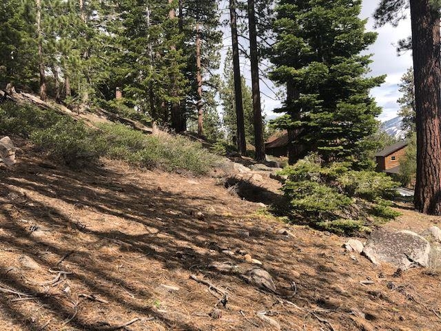 153 Holiday Way Mammoth Lakes, CA 93546 - Photo 10 of 15 a view of a forest with trees