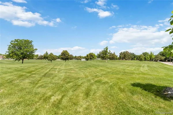 a view of a park with tree s