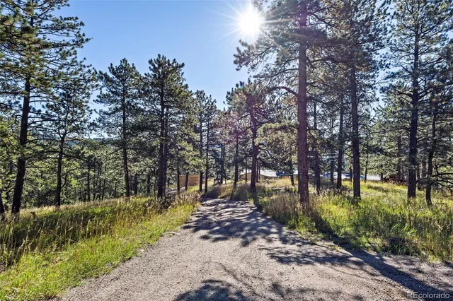 a view of street with with large trees