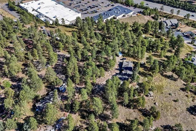 a view of a yard with a tree
