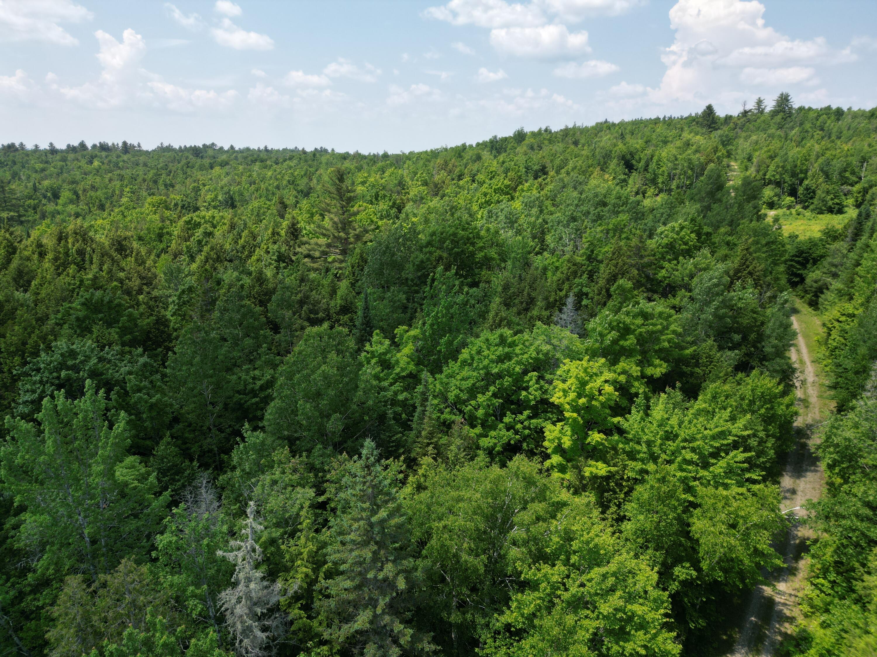 Lot 7 Dirty Glove Road Springfield, ME 04487 - Photo 18 of 20 DJI_0812