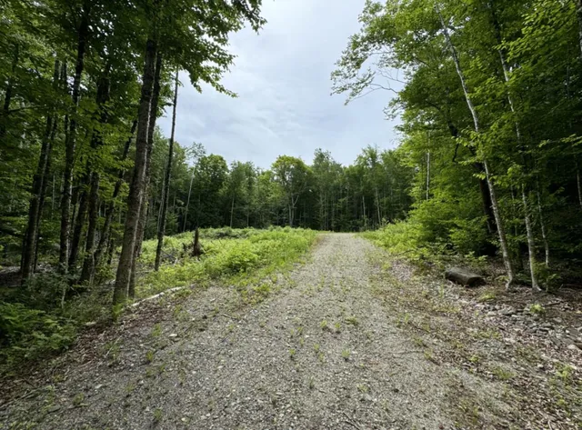 $35,900 | Lot Wa-9 Lot Wa-9 Smith Cove Road, Cathance Township, ME 04657