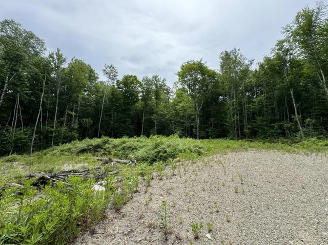 $35,900 | Lot Wa-9 Lot Wa-9 Smith Cove Road, Cathance Township, ME 04657