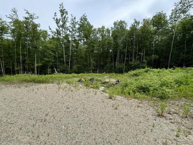 $35,900 | Lot Wa-9 Lot Wa-9 Smith Cove Road, Cathance Township, ME 04657