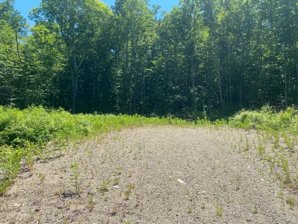 $35,900 | Lot Wa-9 Lot Wa-9 Smith Cove Road, Cathance Township, ME 04657