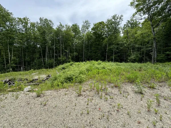 $35,900 | Lot Wa-9 Lot Wa-9 Smith Cove Road, Cathance Township, ME 04657