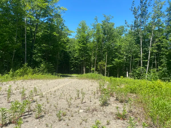 $35,900 | Lot Wa-9 Lot Wa-9 Smith Cove Road, Cathance Township, ME 04657