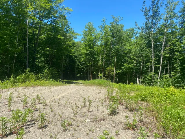 $35,900 | Lot Wa-9 Lot Wa-9 Smith Cove Road, Cathance Township, ME 04657