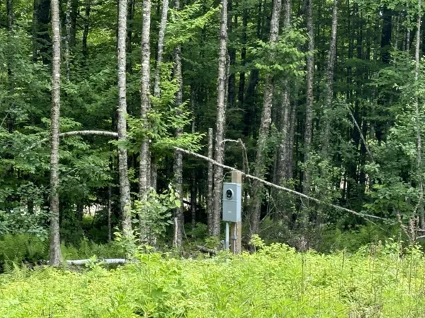 $35,900 | Lot Wa-9 Lot Wa-9 Smith Cove Road, Cathance Township, ME 04657
