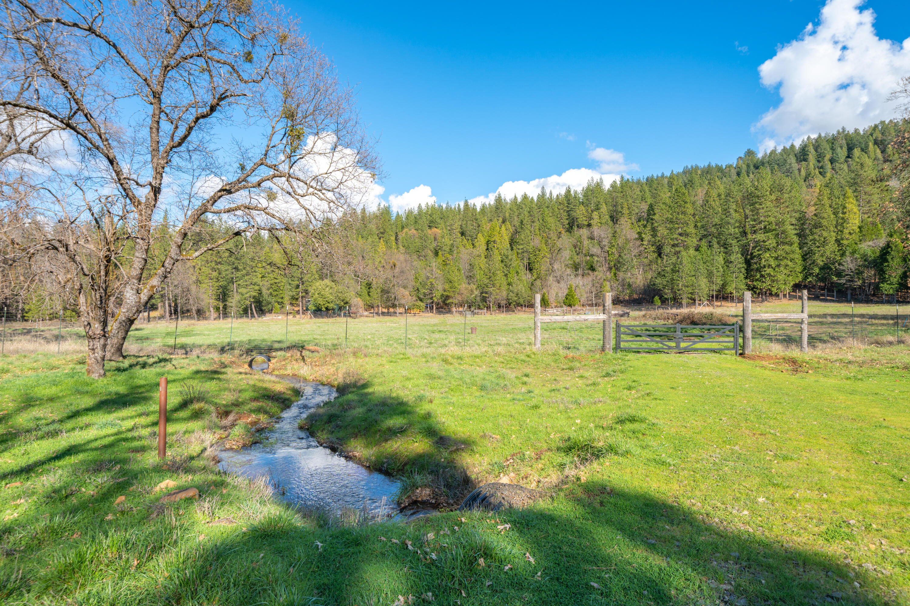 29276 Bullskin Ridge Road Oak Run, CA 96069 - Photo 103 of 113 29276 Bullskin Ridge Rd-129