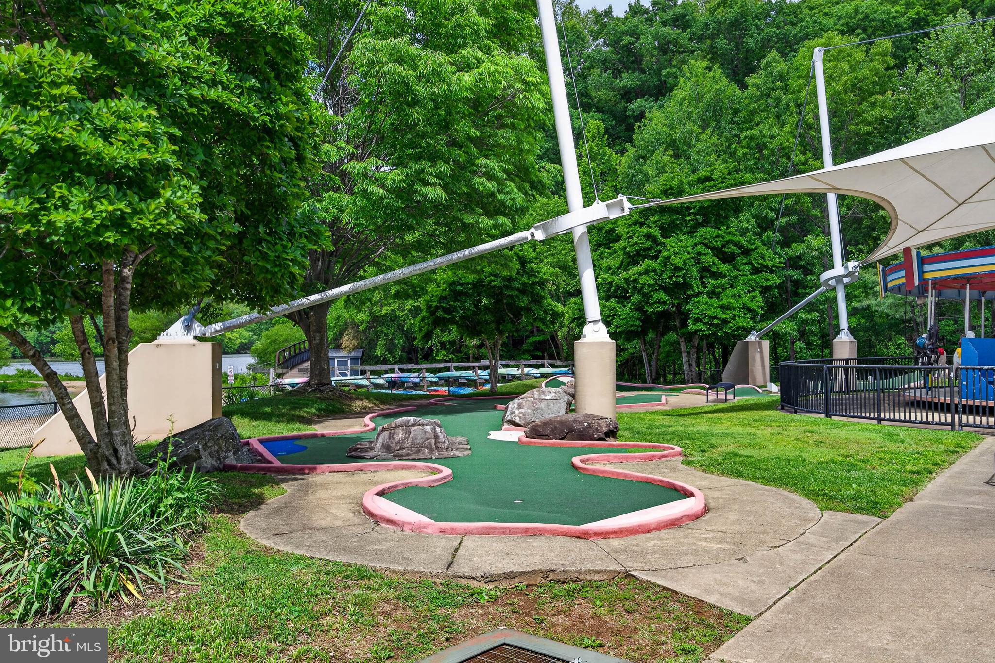 6333 Camilla Street Springfield, VA 22152 - Photo 40 of 54 Mini Golf