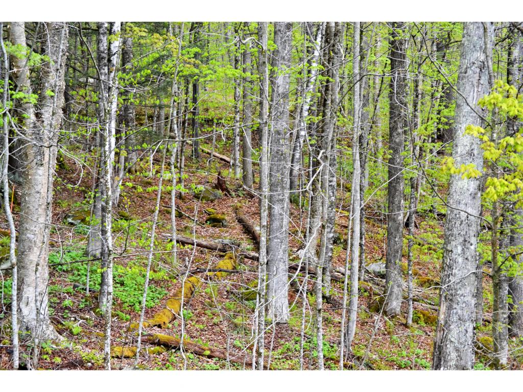 163 Tunnel Brook Road Hancock, VT 05748 - Photo 23 of 30