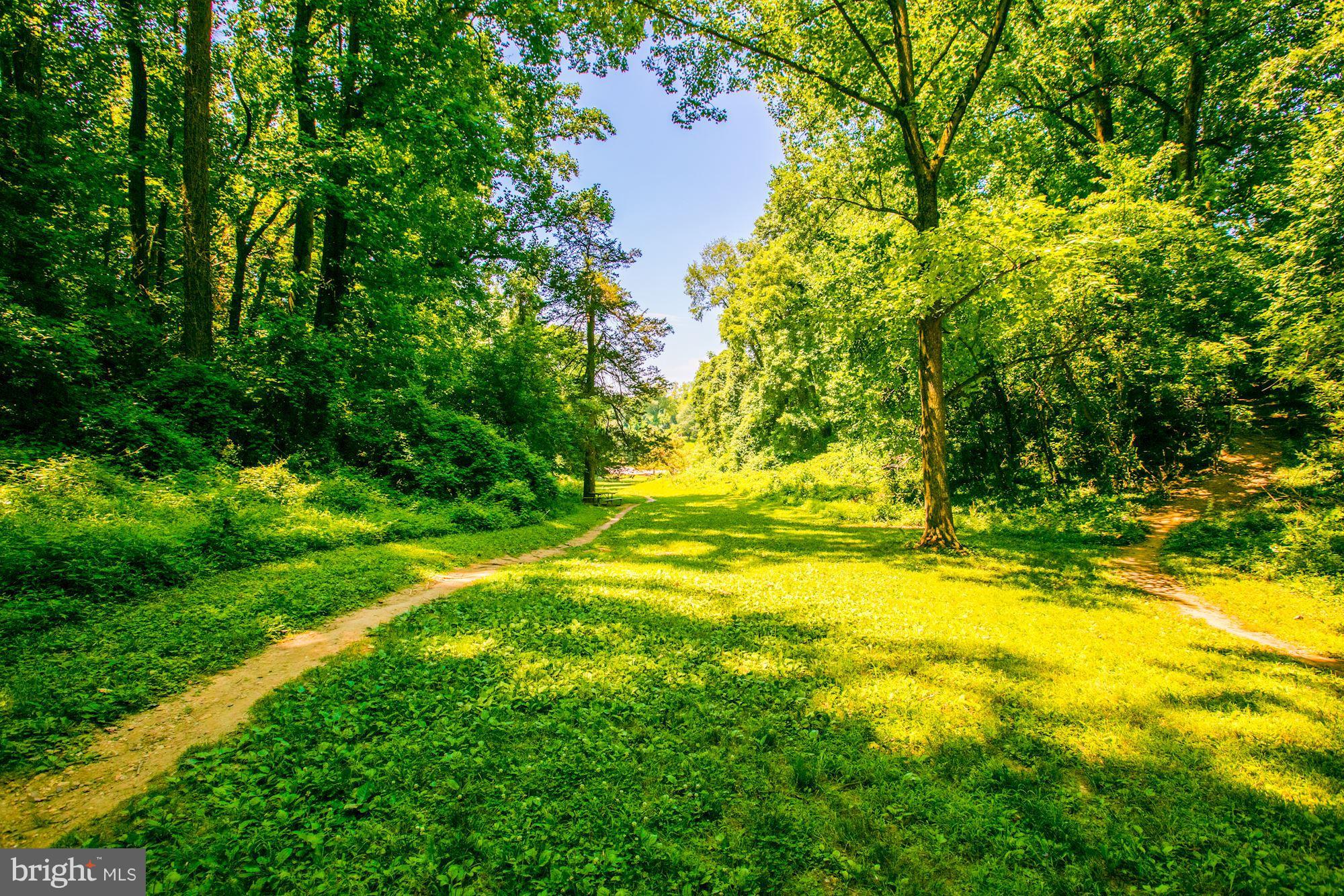 3125 Chain Bridge Road Northwest Washington, DC 20016 - Photo 11 of 12 Battery Kemble Park is your back yard!