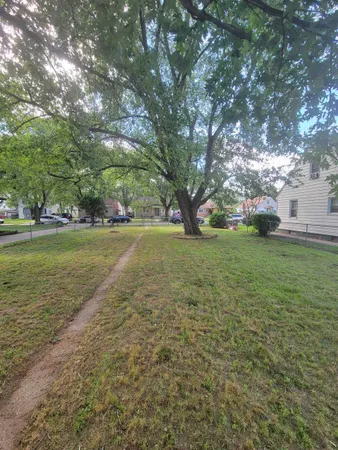 a view of a field with trees
