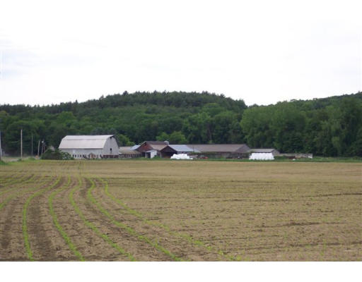 92 Caldwell Road Northfield, MA 01360 - Photo 1 of 9 Gallery Image 1