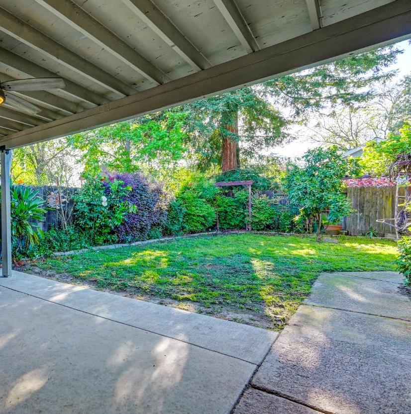 2700 Lassen Way Rocklin, CA 95677 - Photo 25 of 36 a view of a yard with a large trees and plants in front of a house