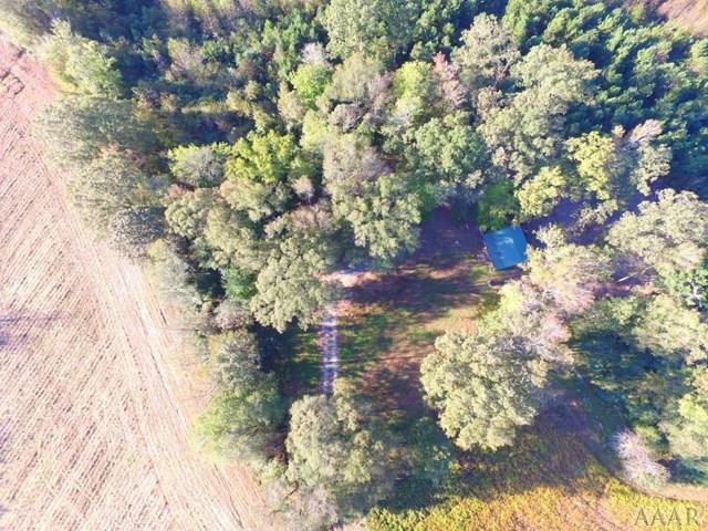 600 Ashleys Grove Road Conway, NC 27820 - Photo 8 of 37 LAND