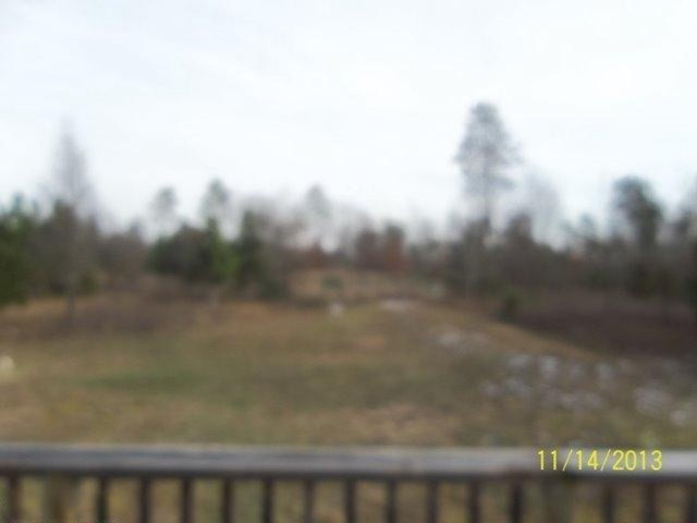 8811 Big 4 Road Kaleva, MI 49645 - Photo 2 of 11 Additional Photo
